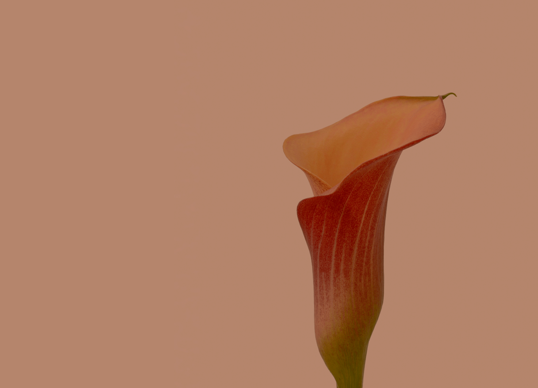 Psychoterapia indywidualna